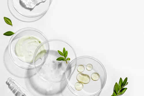 Day and Night Skincare Routine