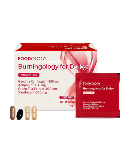 バーニングロジー D-Day（10日分、1パック）